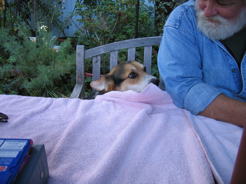 Dad and Strider