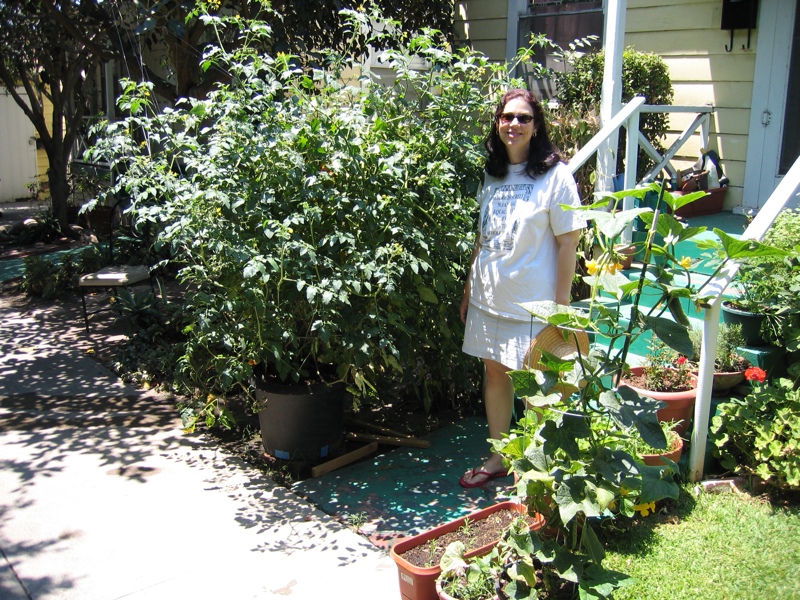 Plants