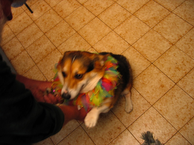IMG_2849.JPG